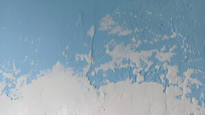 home paint